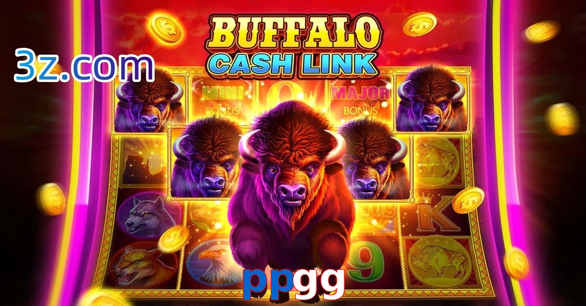 ppgg.com